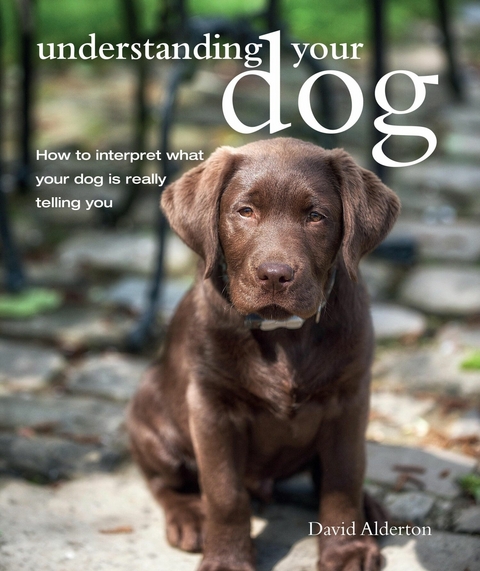 Understanding Your Dog -  David Alderton