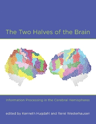 The Two Halves of the Brain - 