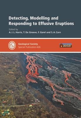 Detecting, Modelling and Responding to Effusive Eruptions - 