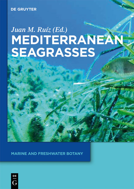 Mediterranean Seagrasses - 