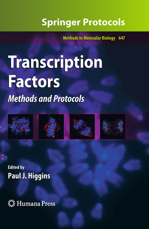 Transcription Factors - 