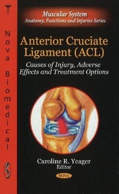 Anterior Cruciate Ligament (ACL) - 