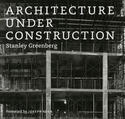Architecture under Construction - Stanley Greenberg