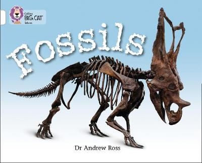 Fossils - Dr Andrew Ross