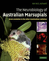 The Neurobiology of Australian Marsupials - 