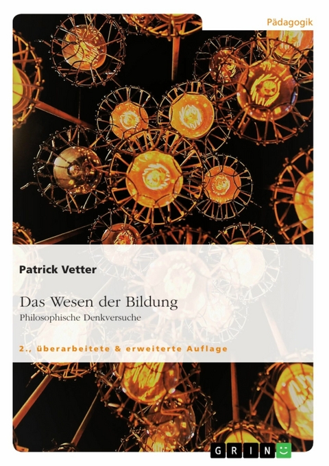 Das Wesen der Bildung. Philosophische Denkversuche - Patrick Vetter