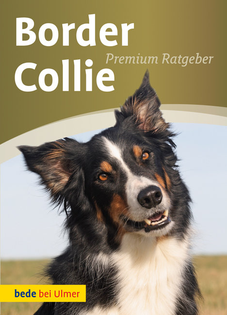 Border Collie - Annette Schmitt