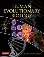 Human Evolutionary Biology - 