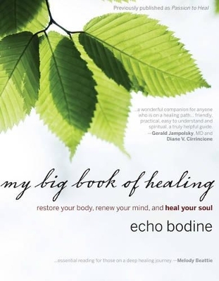 My Big Book of Healing - Echo Bodine