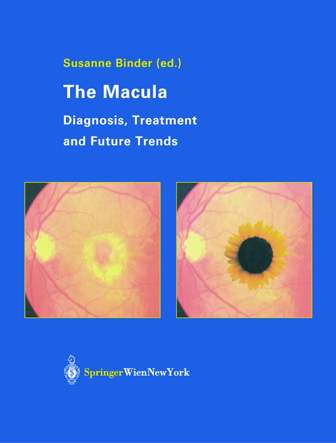 The Macula - 