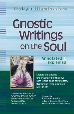 Gnostic Writings on the Soul - Andrew Phillip Smith
