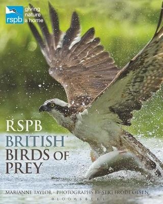 RSPB British Birds of Prey - Marianne Taylor