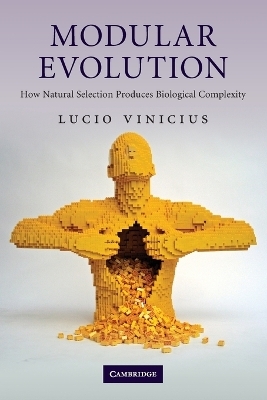 Modular Evolution - Lucio Vinicius