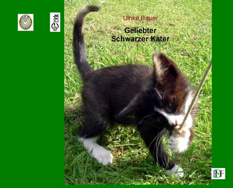 Geliebter Schwarzer Kater