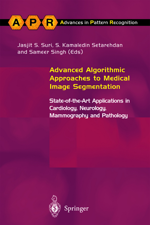 Advanced Algorithmic Approaches to Medical Image Segmentation - 