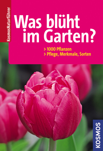 Was blüht im Garten? - Angelika Throll