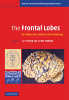 The Frontal Lobes - 