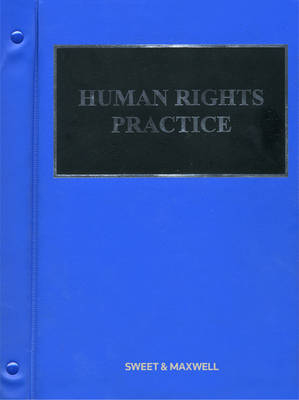 Human Rights Practice