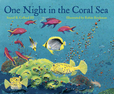 One Night in the Coral Sea - Sneed B. Collard  III