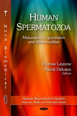 Human Spermatozoa - 