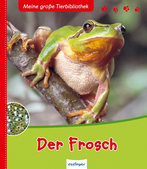 Meine große Tierbibliothek: Der Frosch - Paul Starosta