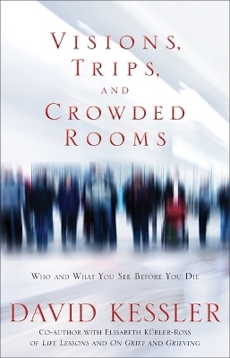 Visions, Trips And Crowded Rooms - David Kessler