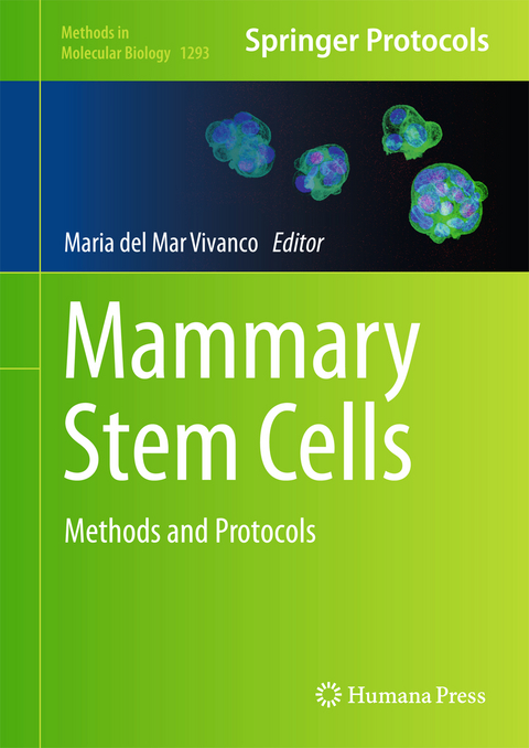 Mammary Stem Cells - 