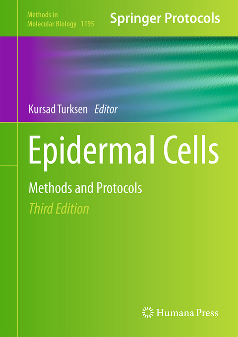 Epidermal Cells - 