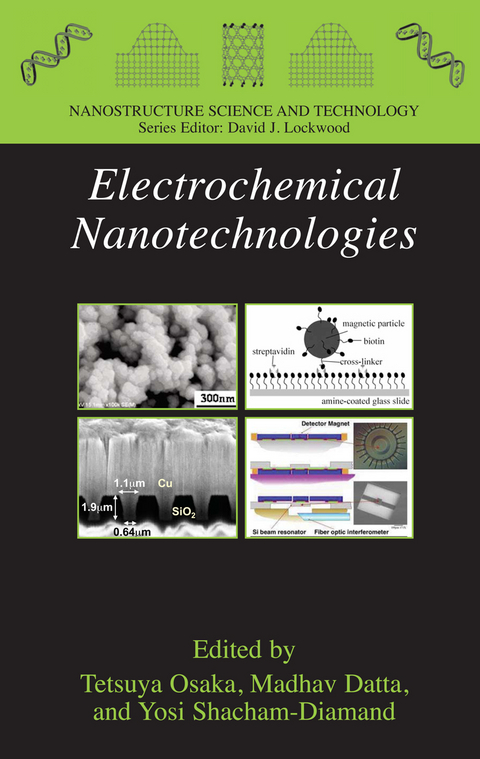 Electrochemical Nanotechnologies - 