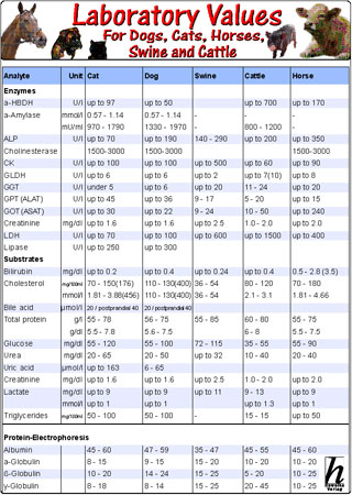 Laboratory Values for Dogs, Cats, Horses, Swine and Cattle - 