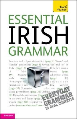 Essential Irish Grammar: Teach Yourself - Éamonn Ó Dónaill