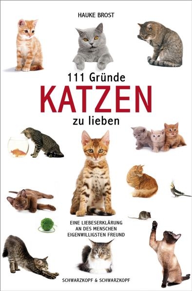 111 Gründe, Katzen zu lieben - Hauke Brost