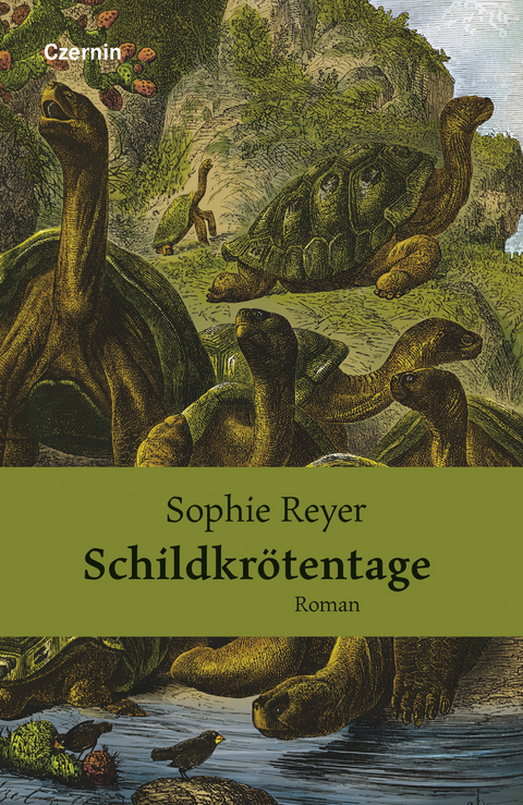 Schildkrötentage - Sophie Reyer