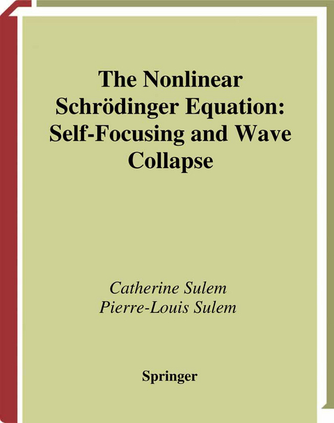 The Nonlinear Schrödinger Equation - Catherine Sulem, Pierre-Louis Sulem