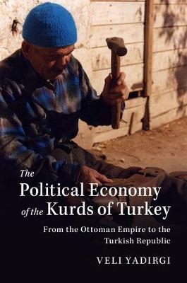 Political Economy of the Kurds of Turkey -  Veli Yadirgi