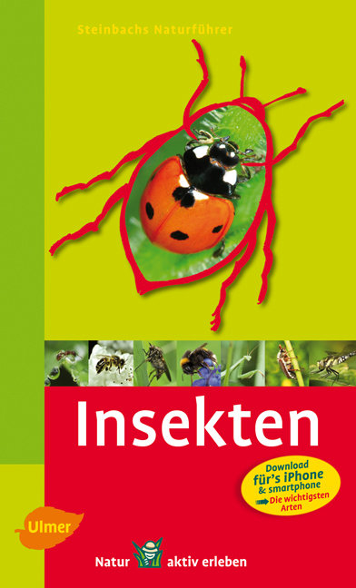 Steinbachs Naturführer Insekten - Heiko Bellmann