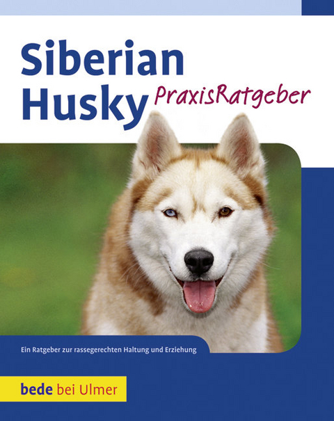 Siberian Husky - Stefan Pfaffenburner