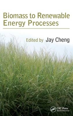 Biomass to Renewable Energy Processes - 