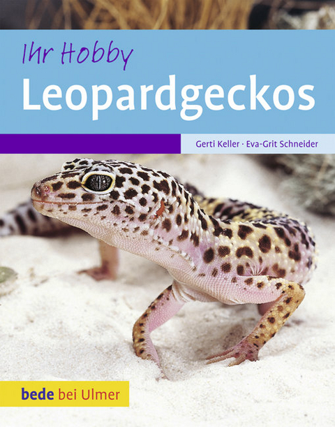 Leopardgeckos - Gerti Keller, Eva-Grit Schneider