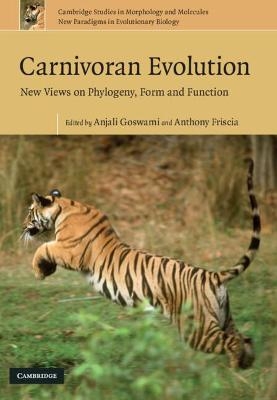 Carnivoran Evolution - 