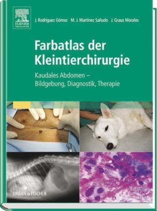 Farbatlas der Kleintierchirurgie - José Rodríguez Gómez, María José Martínez Sañudo, Jaime Graus Morales