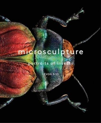 Microsculpture -  Levon Biss