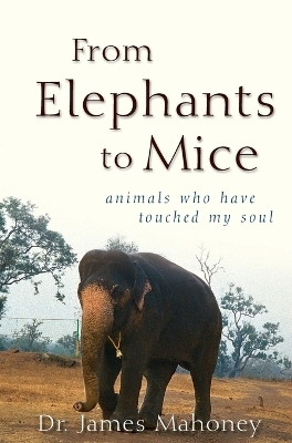 From Elephants To Mice - James Mahoney