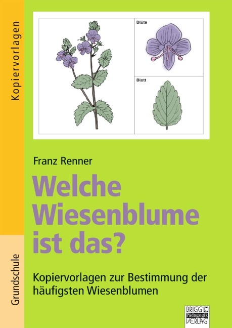 Brigg: Sachunterricht - Grundschule / Welche Wiesenblume ist das? - Franz Renner