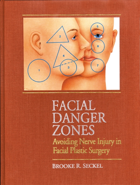 Facial Danger Zones - Brooke Seckel