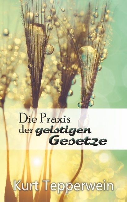 Die Praxis der geistigen Gesetze - Kurt Tepperwein