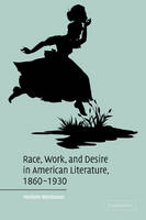Race, Work, and Desire in American Literature, 1860–1930 - Michele Birnbaum