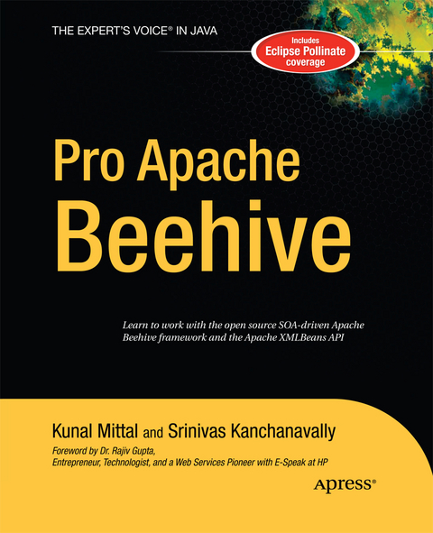 Pro Apache Beehive - Srinivas Kanchanavally, Kunal Mittal