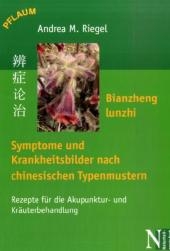 Bianzheng lunzhi - Krankheitsbilder und Behandlungskonzepte nach chinesischen Typenmustern - Andrea M. Riegel