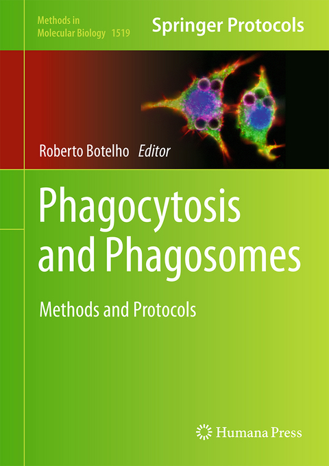 Phagocytosis and Phagosomes - 